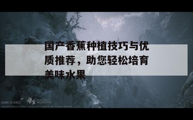 国产香蕉种植技巧与优质推荐，助您轻松培育美味水果