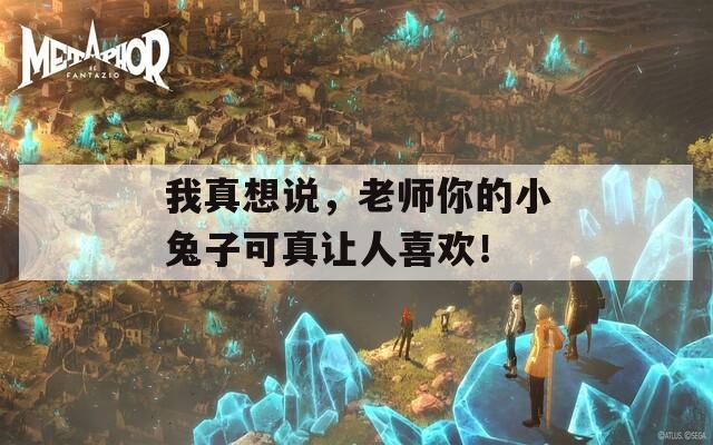 我真想说，老师你的小兔子可真让人喜欢！