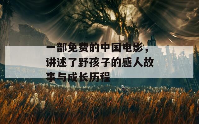 一部免费的中国电影，讲述了野孩子的感人故事与成长历程