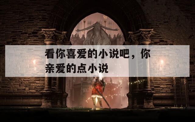 看你喜爱的小说吧，你亲爱的点小说