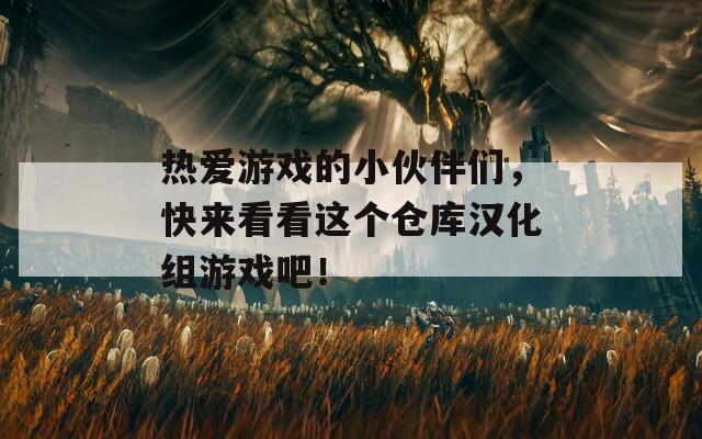 热爱游戏的小伙伴们，快来看看这个仓库汉化组游戏吧！