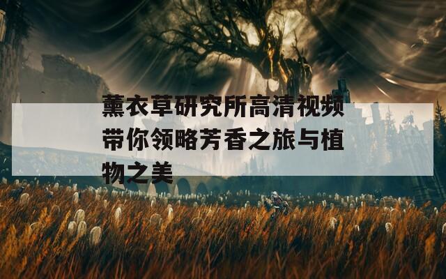 薰衣草研究所高清视频带你领略芳香之旅与植物之美