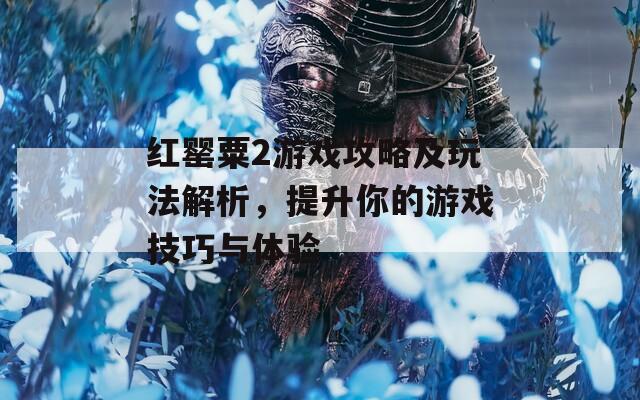 红罂粟2游戏攻略及玩法解析，提升你的游戏技巧与体验