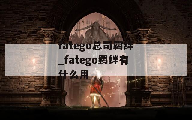 fatego总司羁绊_fatego羁绊有什么用