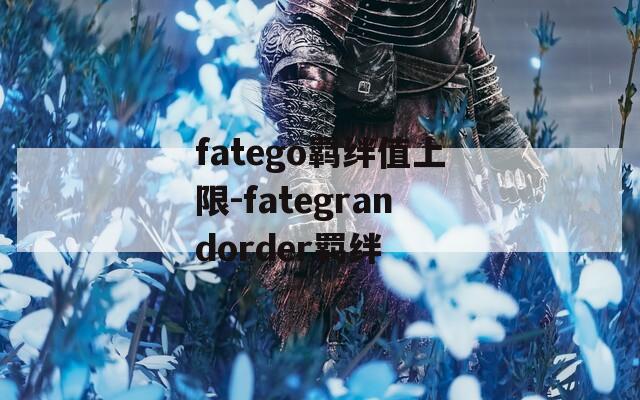 fatego羁绊值上限-fategrandorder羁绊