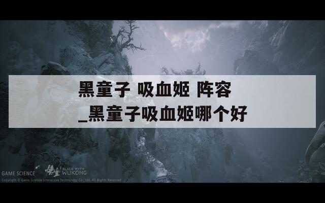 黑童子 吸血姬 阵容_黑童子吸血姬哪个好